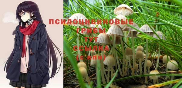 соль курить ск Абинск